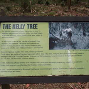 Kelly Tree