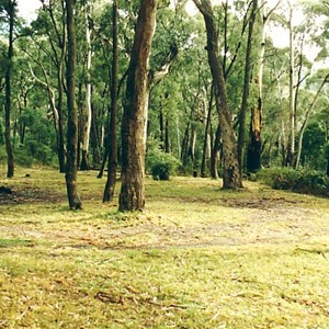 Blue Range Cr campground