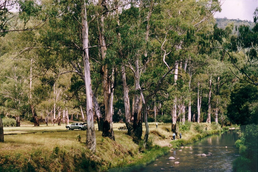 Sheepyard Flat Camp Area VIC BOG Places