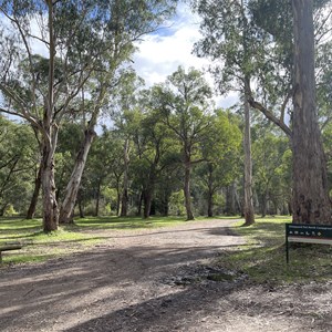 Sheepyard Flat Camp Area