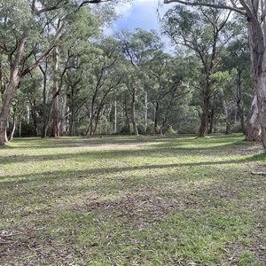 Sheepyard Flat Camp Area