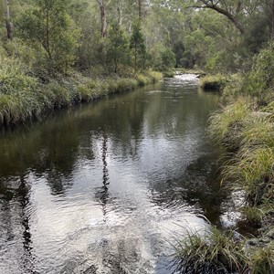 Sheepyard Flat Camp Area