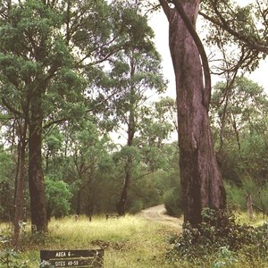 access to zone 8