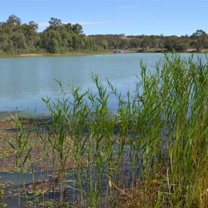 Overland Corner Hotel Camp site