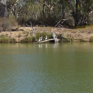 Overland Corner Hotel Camp site