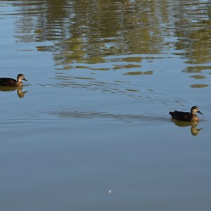 Hogwash Bend 