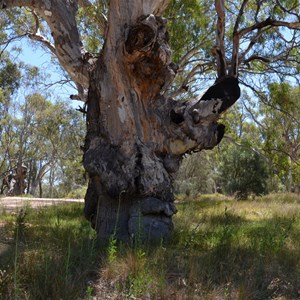 Hogwash Bend 