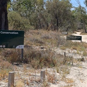 Morgan Conservation Park - Northern Section