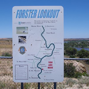Forster Lookout