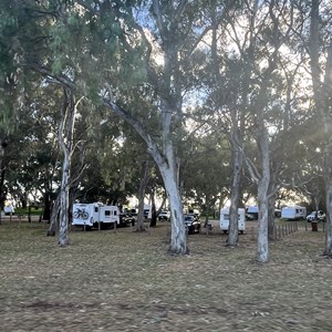 Frank Potts Reserve