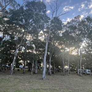 Frank Potts Reserve