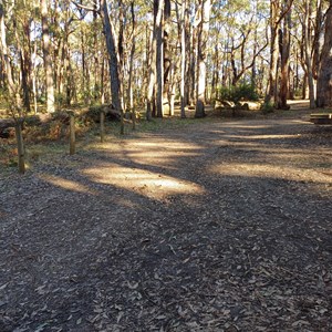 Stringybark Campground