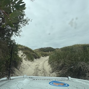 Ocean Beach Coastal Reserve