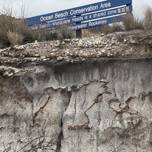 Ocean Beach Coastal Reserve