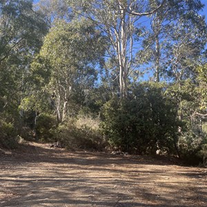 Lake Rowallan Boat Ramp