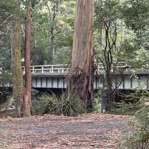 Alma Reserve