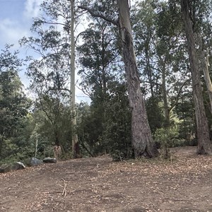 Alma Reserve