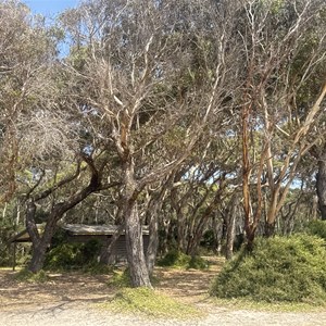 Peggs Beach Campground