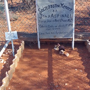 John Aspinall's Grave