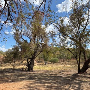 Jasper Gorge Picnic Area