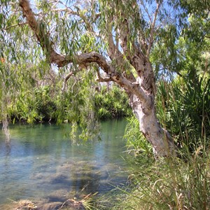 The refreshing creek