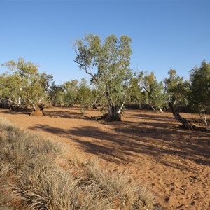 Dry riverbed