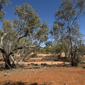 Marshall River Rest Area