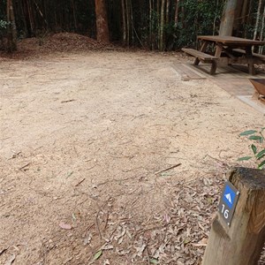 Bellbird Campground