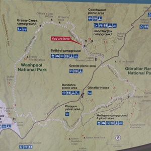Bellbird Campground