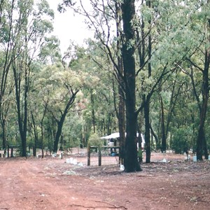 candlebark camp