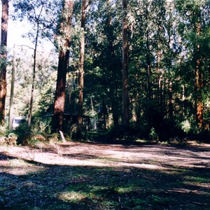 Toolangi