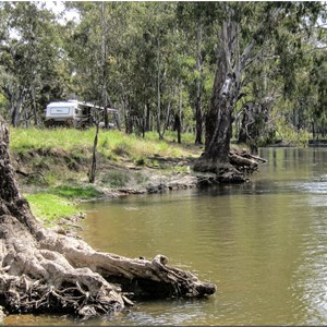 Police Paddocks