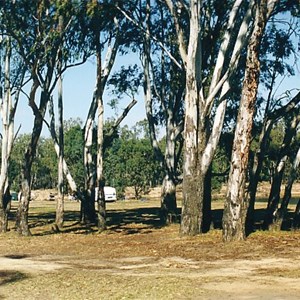 Bourkes Bend # 3