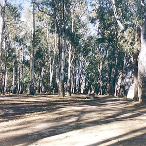 echuca