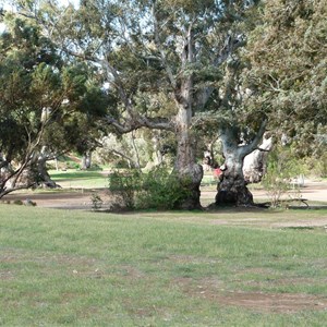 Burra Gorge Camp Grounds 
