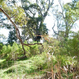 Burra Gorge Campgrounds 