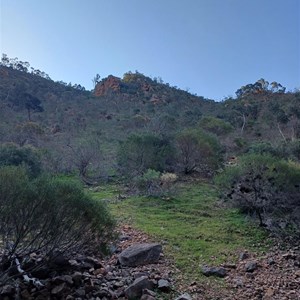 Telowie Gorge Conservation Park