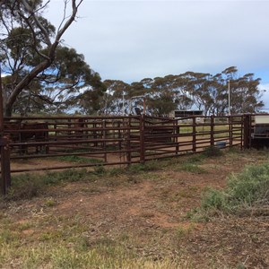 Baroota Rodeo Camping Ground