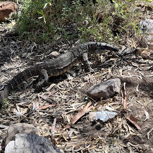 Mambray Creek Campground