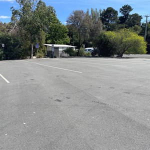 Rose Bay Park