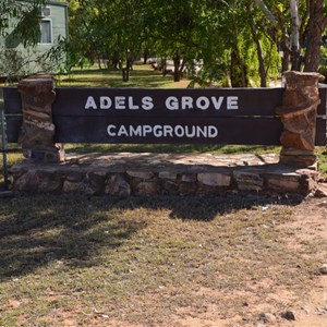 Adels Grove