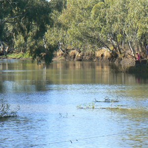 Koorooinya Falls Basalt Wall Nature Reserve