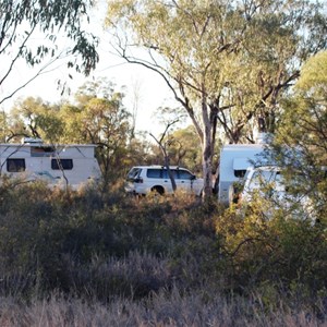 Camp sites are screened by trees