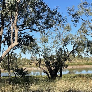 Camooweal Billabong Camp Area