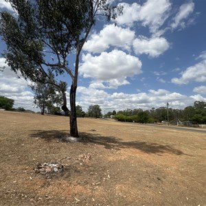 Sapphire Reserve
