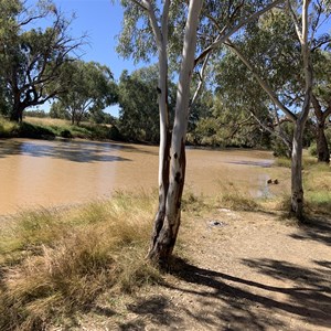 Jericho Community Park