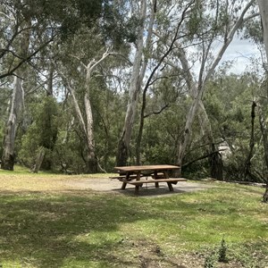 Lemon Tree Flat Campground