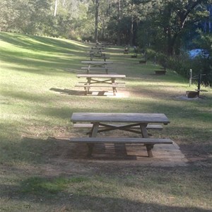 Platypus Flat Campground (Nymboi-Binderay National Park)