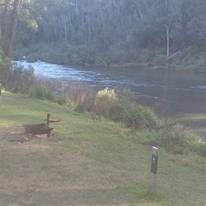 Platypus Flat Campground (Nymboi-Binderay National Park)
