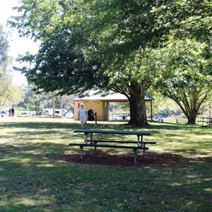 Picnic area at Danger Falls